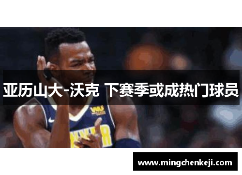 亚历山大-沃克 下赛季或成热门球员